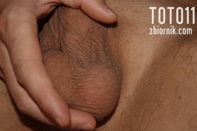 Jajeczka do possania - toto11