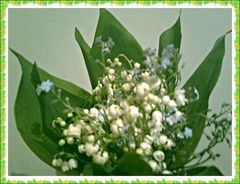 a to dla znajomych obecnych i przyszłych :)