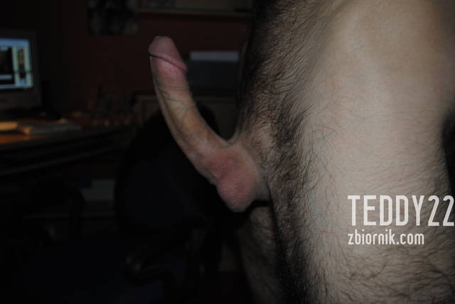 _DSC0056.JPG - Teddy22