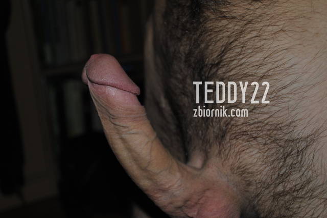 _DSC0068.JPG - Teddy22