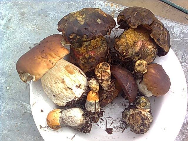 kto nie wierzy... - madzia90