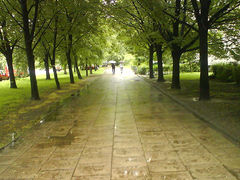 Dzień póżniej ....