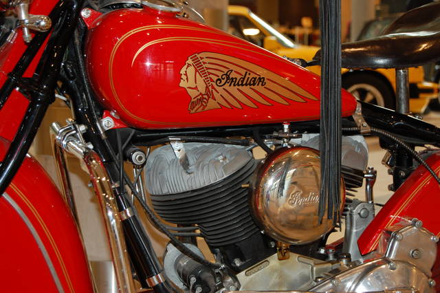 DSC_8285.JPG - qbek29