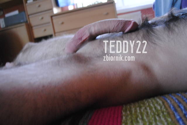 _DSC0060.JPG - Teddy22