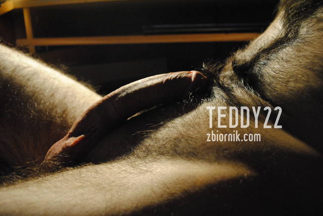 _DSC0009.JPG - Teddy22
