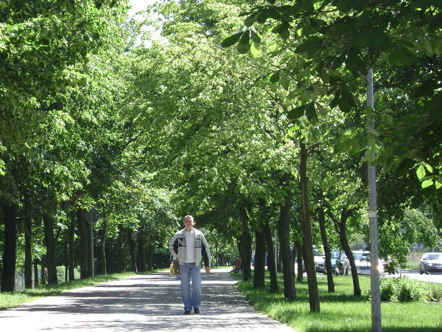 jacek7325