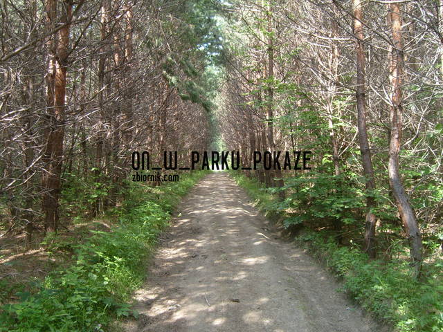 On_W_Parku_Pokaze