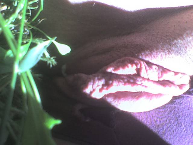 chciała się przewietrzyć ;] - myszkaaa_19