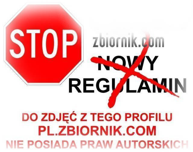Prawa Autorskie Zastrzeżone (C) - NETOPERZ