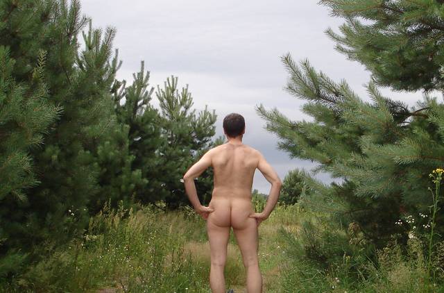 DSC08032 - Kopia.JPG - Whitelittlecock