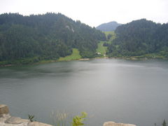 P1070009.JPG