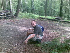 Może zamiast zbierać coś zasadzić :)