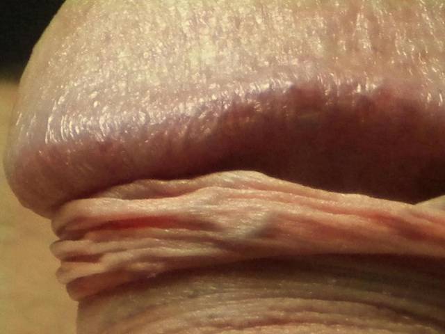 2000.JPG - palamokra