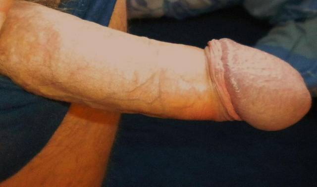 2-29.JPG - palamokra