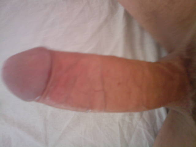 10082010(009).jpg - cobra575n