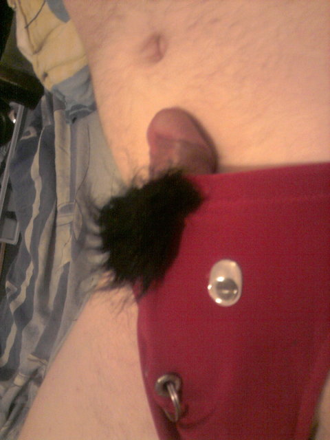 mój byczek-2 - glodna123