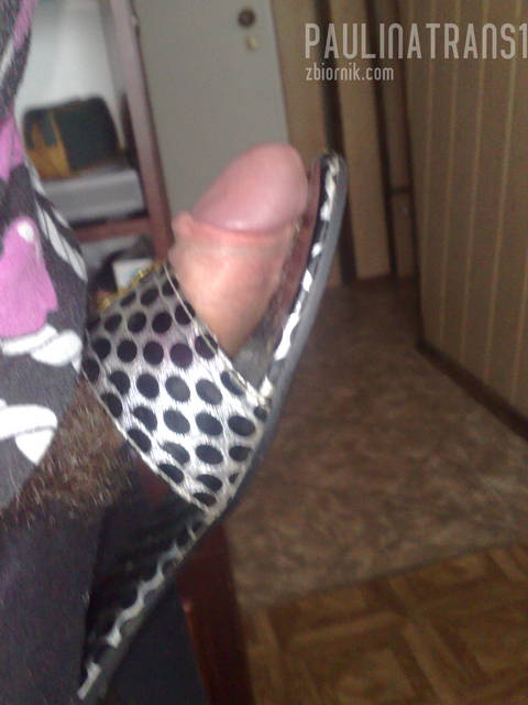 18082010227.jpg - paulinatrans1