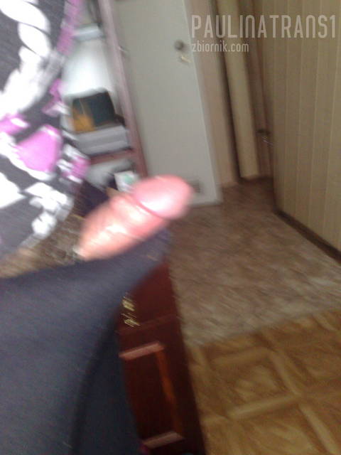 18082010228.jpg - paulinatrans1