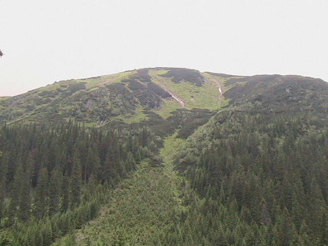 to - robciotaki1