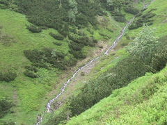 IMG_3929.JPG
