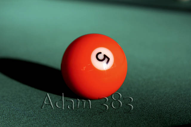 Bila1a.jpg - adam383