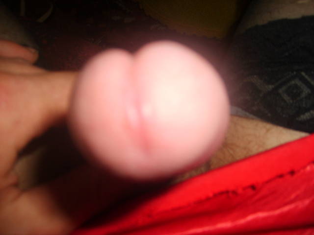 S5004458.JPG - Trans1