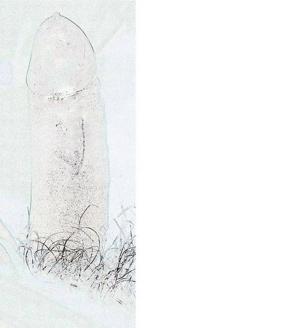 rumak... - ognistyzywiol