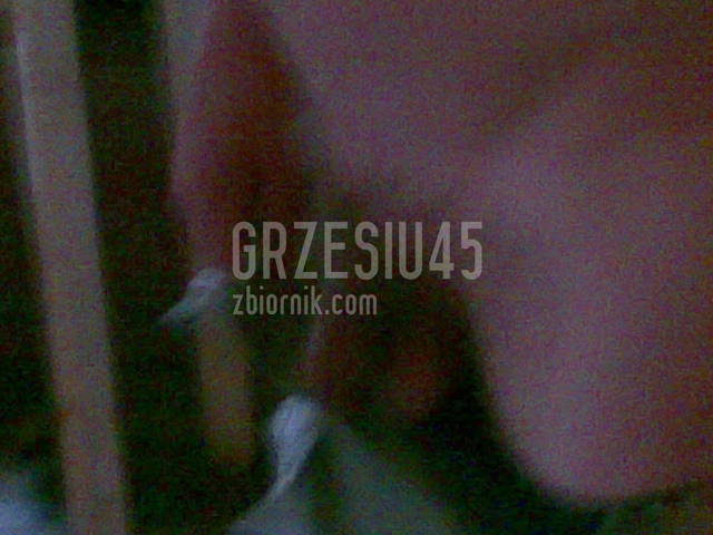 .. - grzesiu45