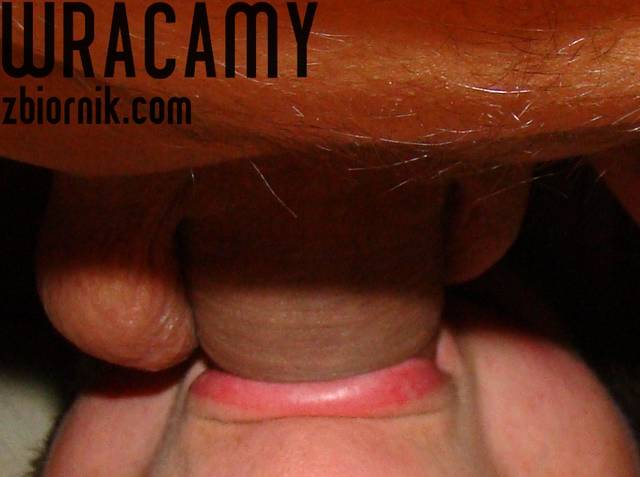 DSC068097777.jpg - wracamy