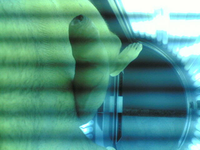 solarium - jastrzzeee