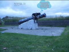 wicklow-kurwa (7)..jpg