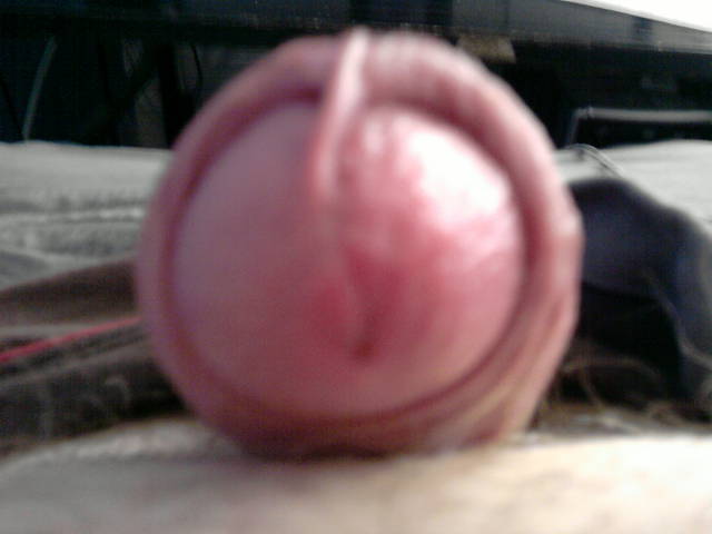 P210910_12.07.jpg - brodacz89