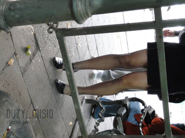 DSC00233.JPG - duzy_misio