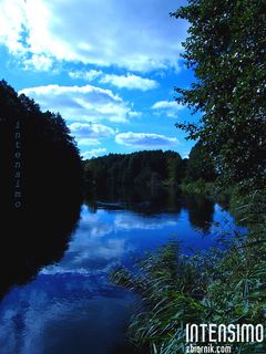 river....