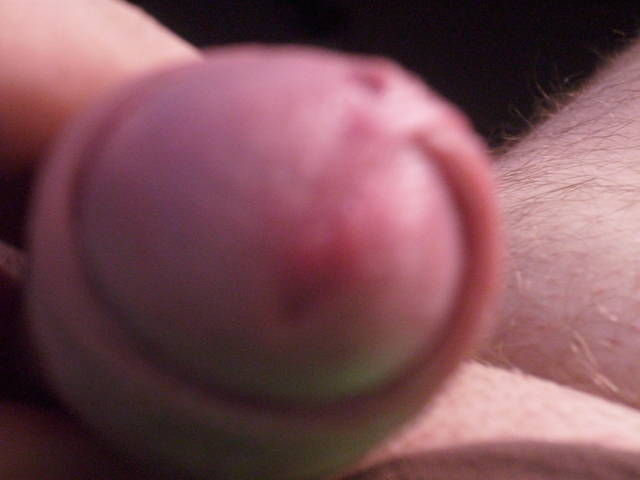 IMG_8239.JPG - brodacz89