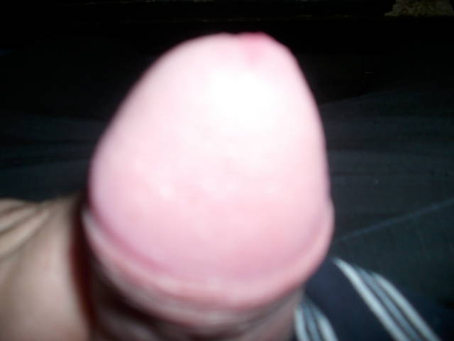 IMG_8312.JPG - brodacz89