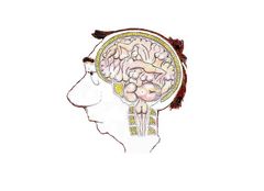 Męski punkt myślenia