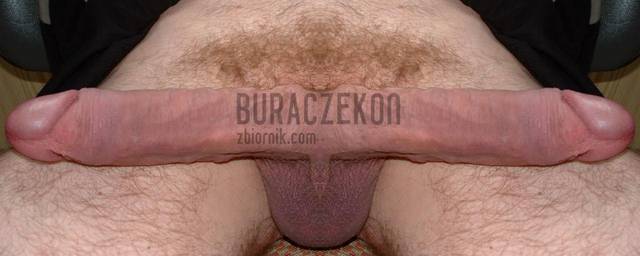 dwustronny - buraczekon