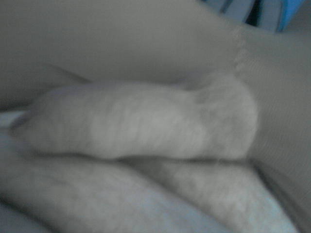 P141010_15.54.jpg - brodacz89