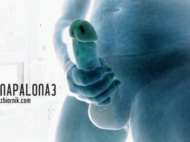 Pen 1.jpg - napalona3