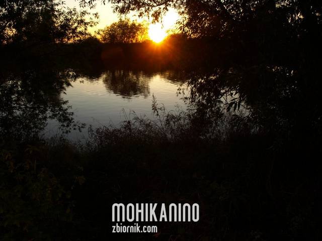 Mohikanin0