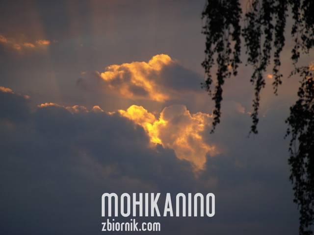 Mohikanin0
