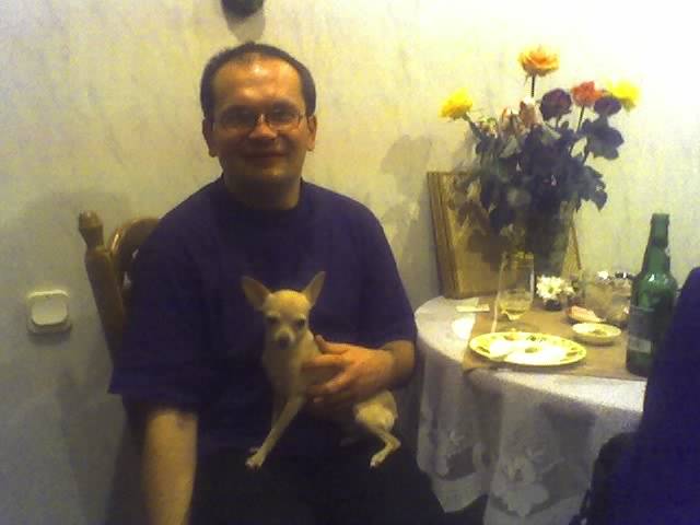 pies na baby - konio74