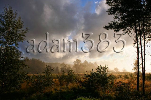 Jesien.jpg - adam383