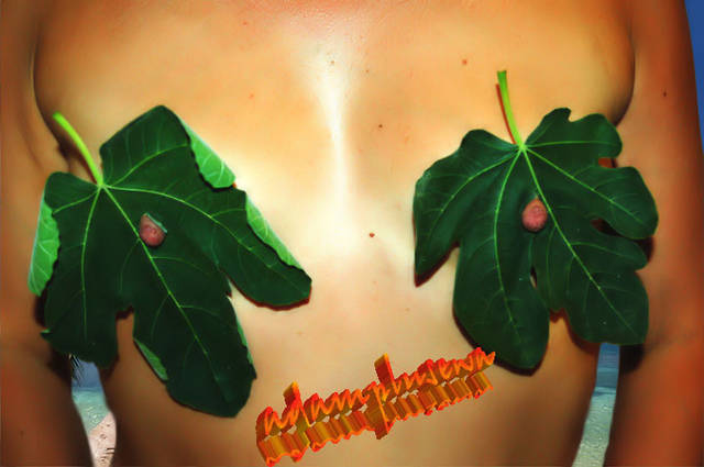 figowy biustonosz - adamplusewa