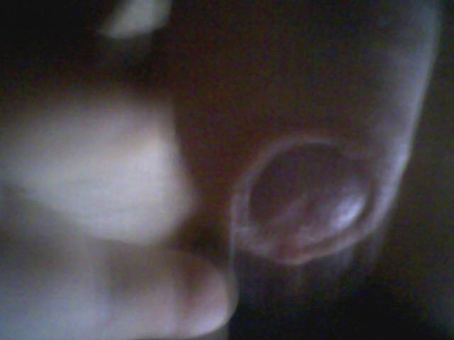 Zdjęcie0242.jpg - karamba1973