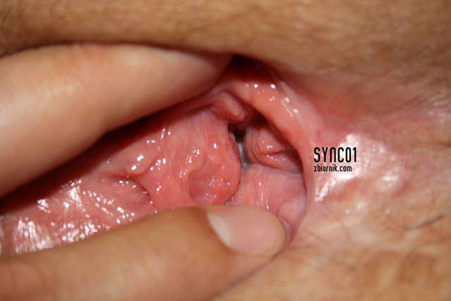 z naszego archiwum - sync01