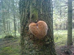 spotkałam mały cud na mojej drodze...