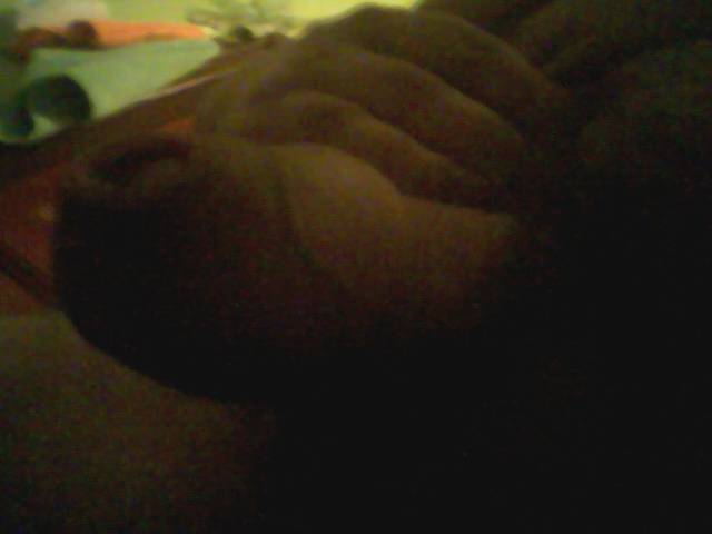 Zdjęcie0260.jpg - karamba1973