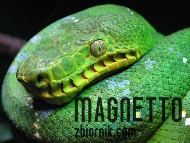 IMG 327.JPG - magnetto